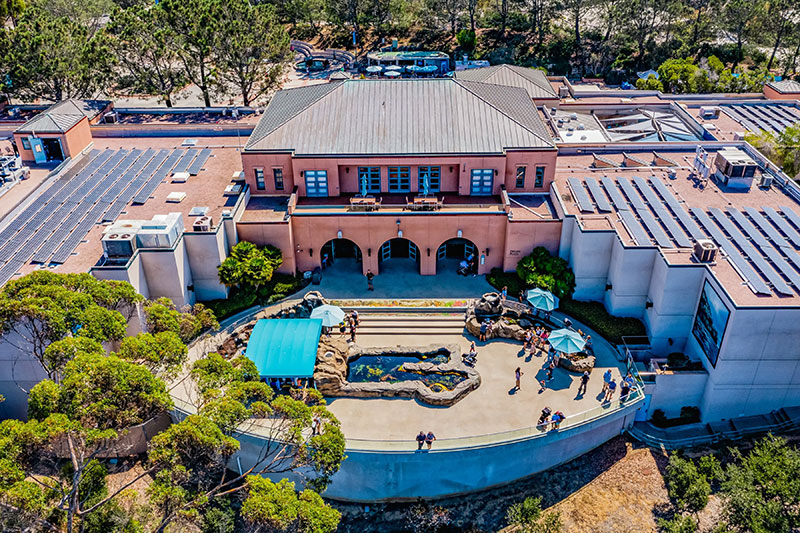 This image displays photo of the Paddle Pub San Diego